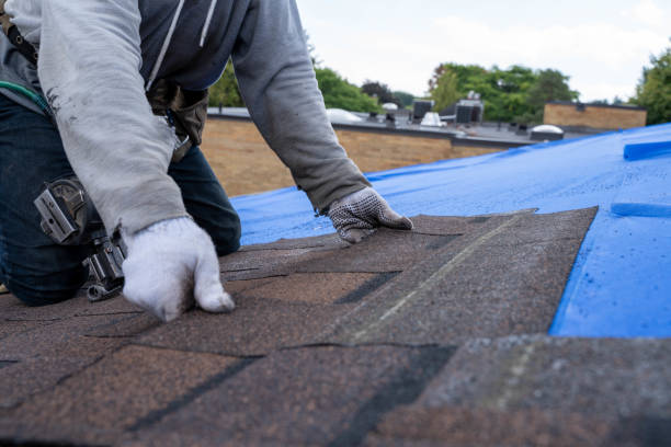 Roof Gutter Cleaning in Gordonsville, TN